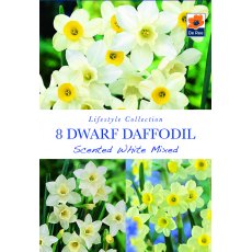 De Rees Daffodil Scented White Mix Bulbs