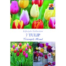 De Rees Tulip Triumph Mixed Bulbs