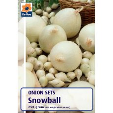 De Rees Snowball Onions Bulbs