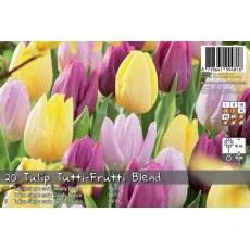 De Rees Tulip Tutti Frutti Blend Bulbs