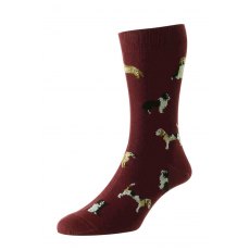 Cotton Rich - Walking Socks - HJ Hall Socks - Official Site