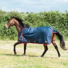 Gallop Trojan Turnout Rug 200g Navy/Red