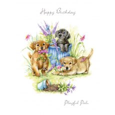 Paw Playful Pals Birthday Card