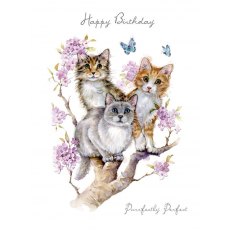 Paw Purrfectly Perfect Birthday Card