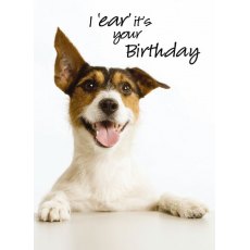 Picture This I Ear It's Your Birthday Card