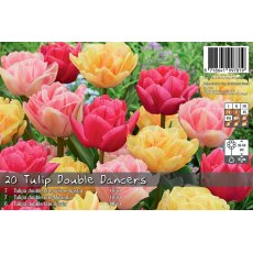 De Ree Tulip Double Dancers Bulb