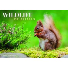 Wildlife Of Britain Calendar A4