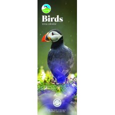 RSPB Birds Slim Calendar