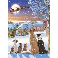 Christmas Card Dogs Watching Santa