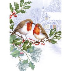 Christmas Card Two Robins