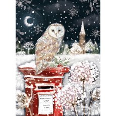 Christmas Card Owl On Postbox