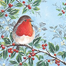 Christmas Card Robin & Holly