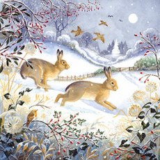 Christmas Card Hares In The Snow