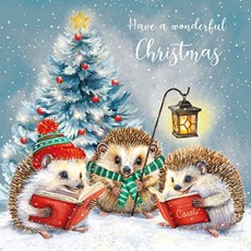 Christmas Card Hedgehog Carols