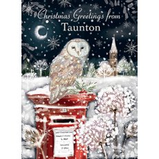 Christmas Card Owl On Postbox