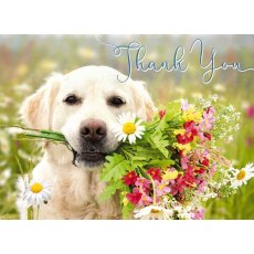 Picture This Dog With Flowers Thank You Card