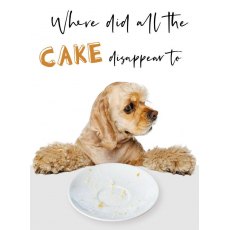 Picture This Disappearing Cake Birthday Card