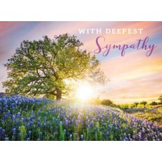 Picture This Bluebell Sunset Deepest Sympathy Card