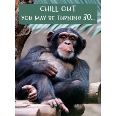 Picture This Chill Out 30th Birthday Card