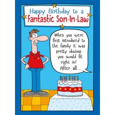 Fantastic Son In Law Birthday Card