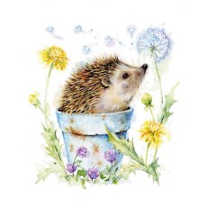 Hedgehog In Plant Pot Card