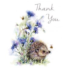 Hedgehog Thank You Card