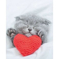 Kitten & Heart Cushion Card