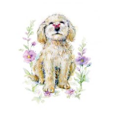 Pup With Butterfly On Nose Card