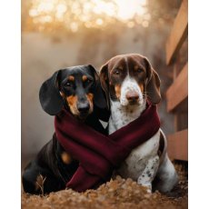 Dogs & Scarf Card