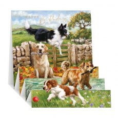 Zigzag Dog Walk Birthday Card