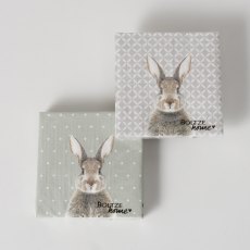 Boltze Rabbit Grey/Green Napkin 20 Pack Assorted