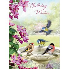 Bird Bath Birthday Wishes Card