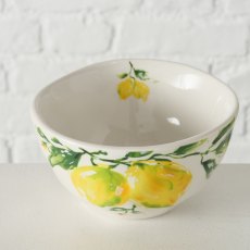 Boltze Lemony Cereal Bowl 500ml