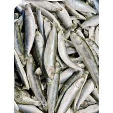 Dougie's Frozen Whole Sprats 1kg