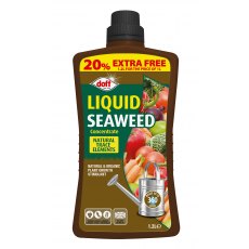 Doff Liquid Seaweed Concentrate 1.2L