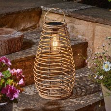 Smart Garden Natural Venus Lantern