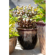 Apta Obsidian Bell Plant Pot