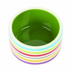 Rainbow Pet Bowl