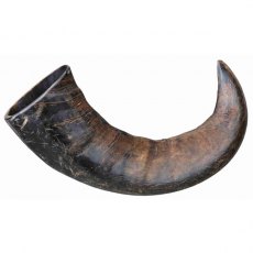 Trixie Buffalo Horn