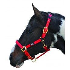 HY Equestrian Deluxe Padded Head Collar