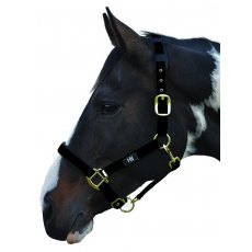 HY Equestrian Deluxe Padded Head Collar