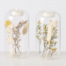 Boltze Eleonora Tealight Holder Assorted Boltze Eleonora Tealight Holder Assorted