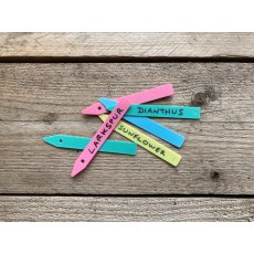 Tildenet Coloured Plant Labels 4" Tildenet Coloured Plant Labels 4"