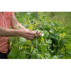 Tildenet Natural Galvanised Garden Wire Tildenet Natural Galvanised Garden Wire