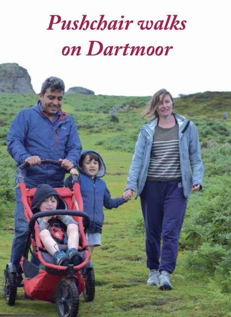 Pushchair Walks On Dartmoor