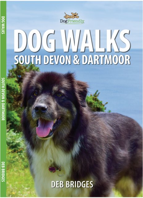 South Devon & Dartmoor Dog Walks