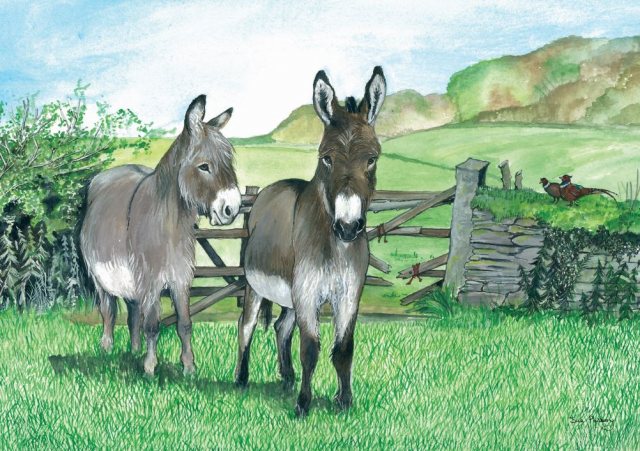 Two Donkeys Greetings Card