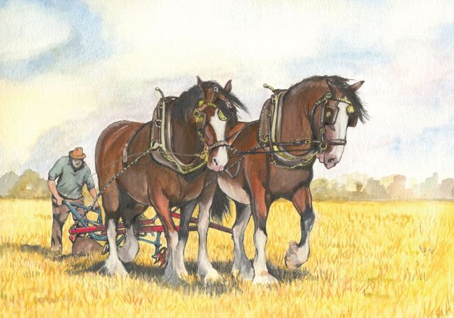 Bay Shires Greetings Card