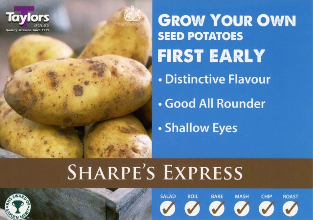 Taylors Bulbs Taylor's Bulbs Seed Potatoes Sharpe's Express 2kg