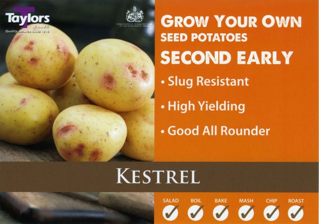 Taylors Bulbs Taylor's Bulbs Seed Potatoes Kestrel 2kg